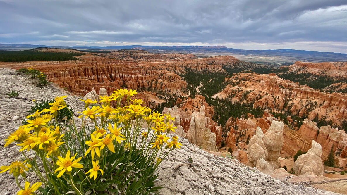 Bryce Canyon, Utah